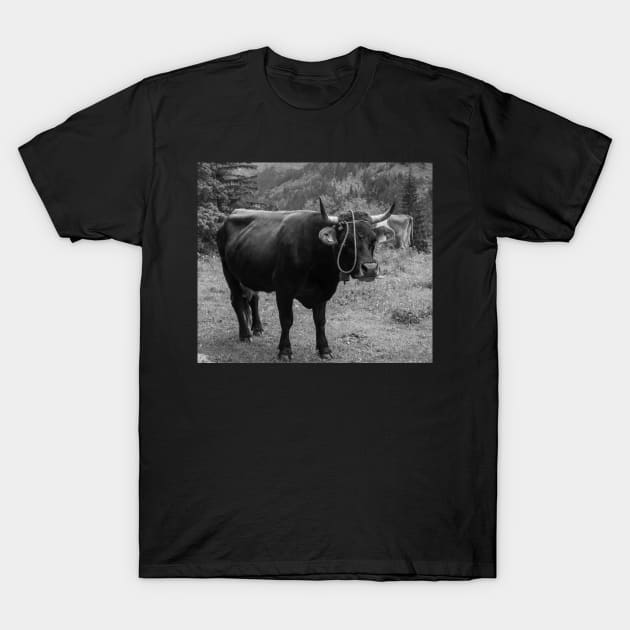 Swiss Cow T-Shirt by photosbyalexis